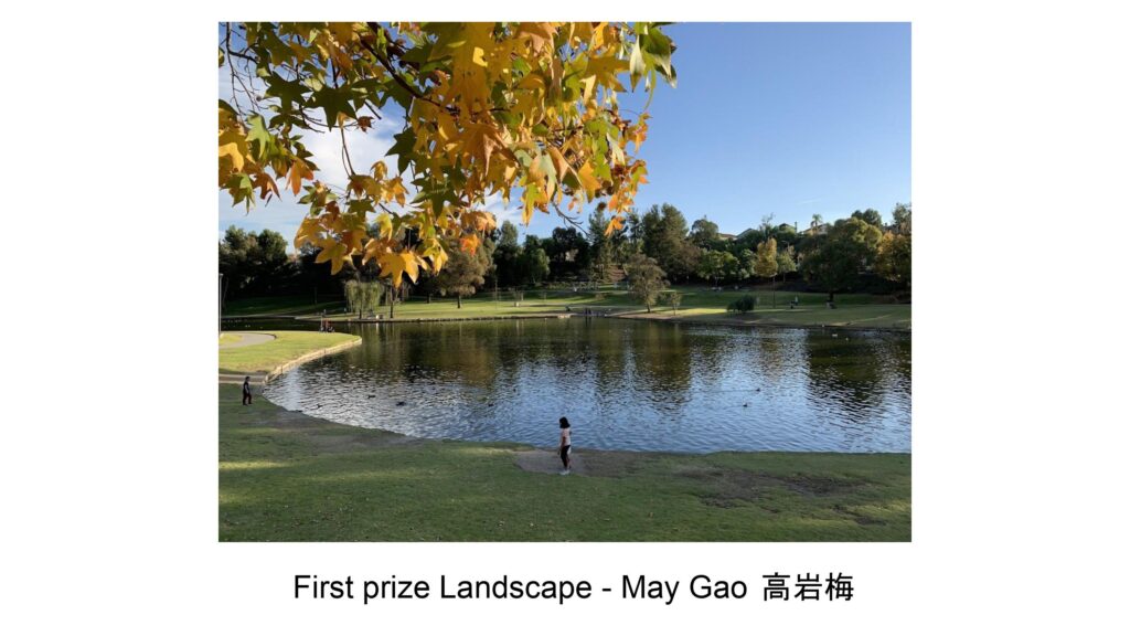 First Prize Landscape