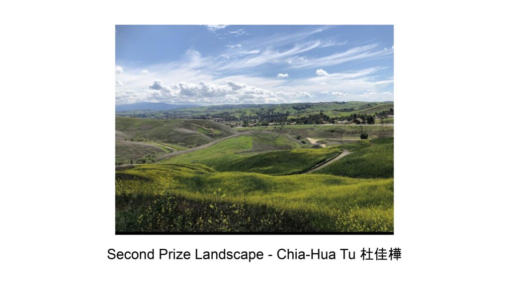 Second Prize Landscape