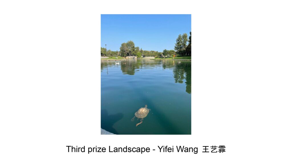 Third Prize Landscape
